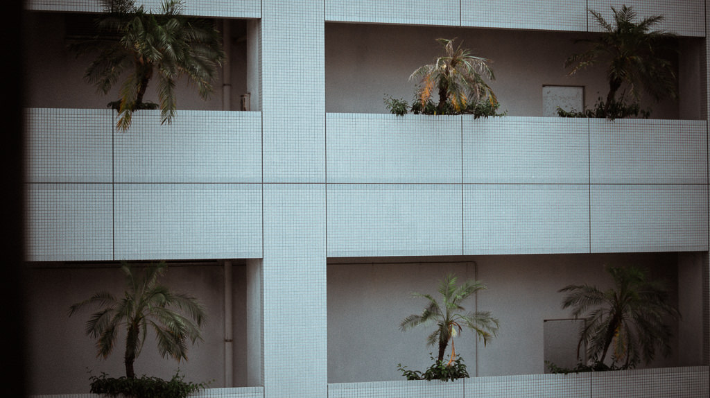 Christopher Smolkovic Photography